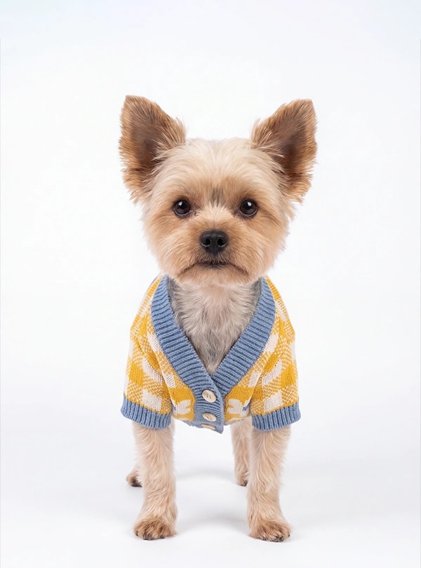 Petwear